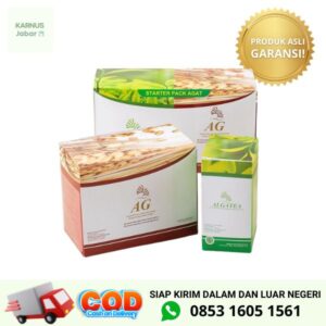 starterpack agat alga kolagen tea