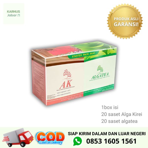 starterpack AKAT alga kirei alga tea