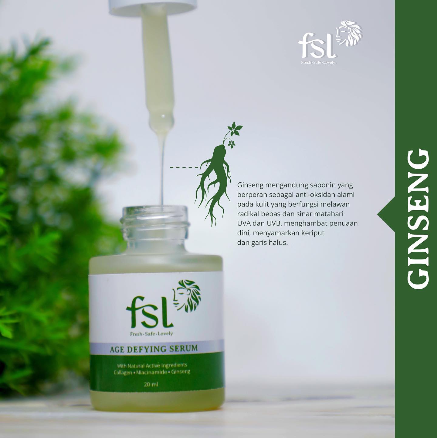 273696350_1073991043448408_2010645534841200878_n