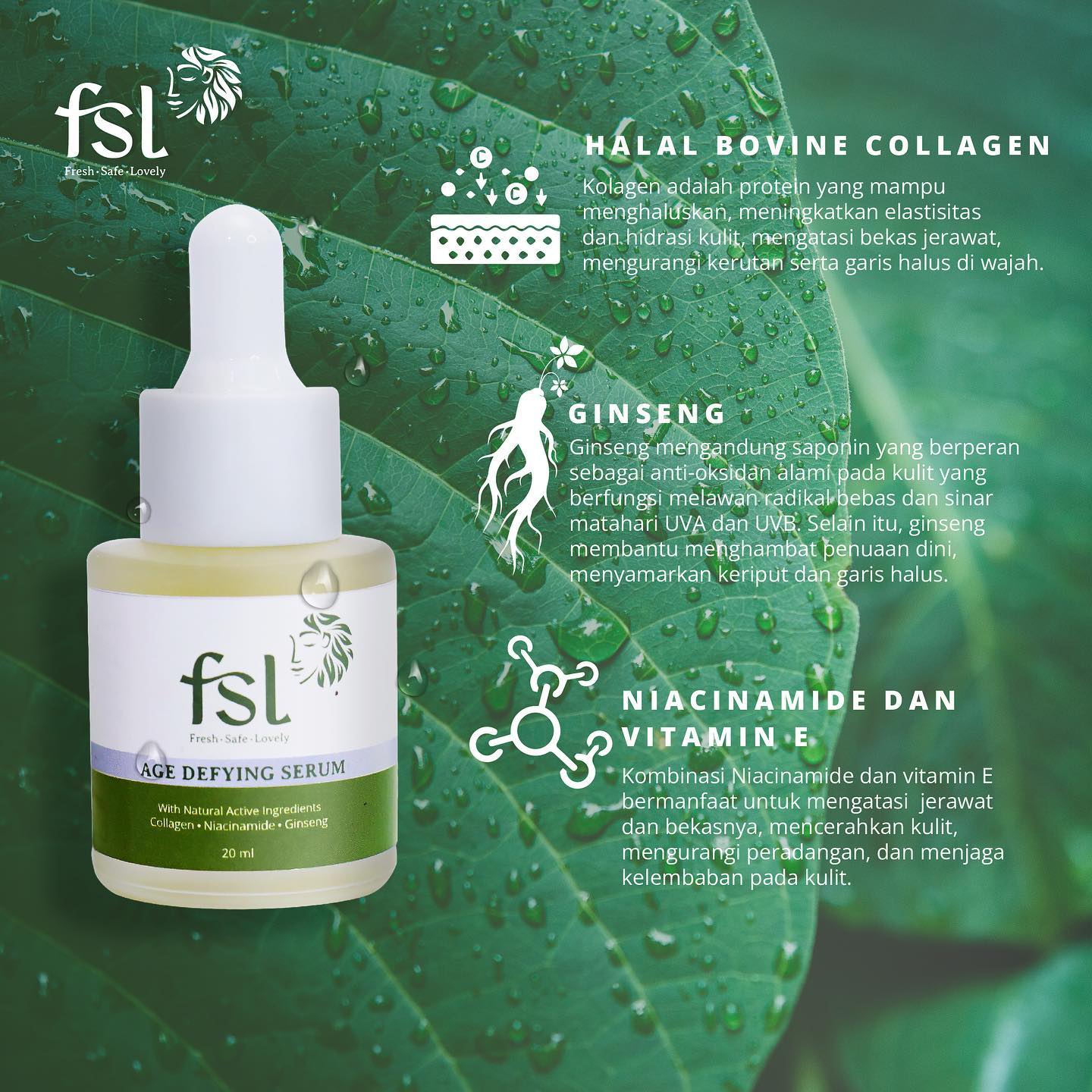 274900737_640662953687254_7186096586615302171_n