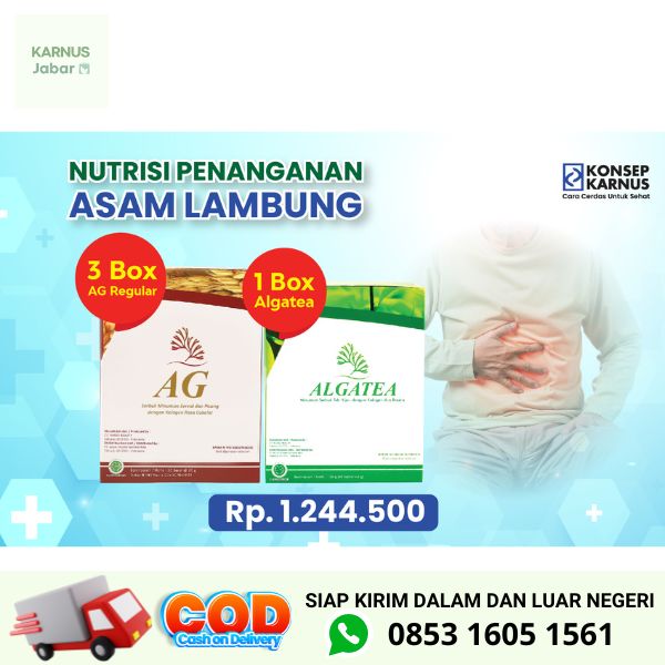 Nutrisi Penanganan Lambung dan Gerd